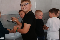 3a-śdmr