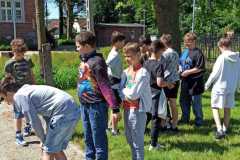 IMG-20240513-WA0000