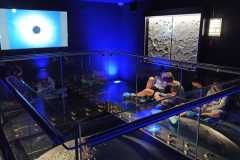 IMG-20240513-WA0003