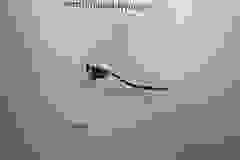 418892273_867796032019905_3164057324977570854_n