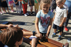 IMG_20210909_113110