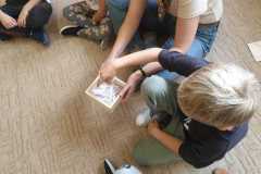 IMG-20251009-WA0001
