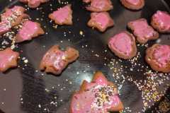 IMG-20211221-WA0013