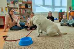 IMG-20240313-WA0050
