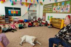 IMG-20240313-WA0053
