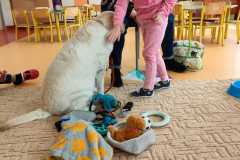 IMG-20240313-WA0062