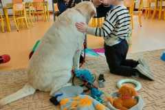 IMG-20240313-WA0063