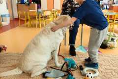IMG-20240313-WA0064