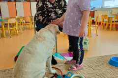 IMG-20240313-WA0065