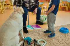 IMG-20240313-WA0067