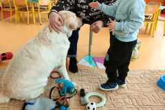 IMG-20240313-WA0068