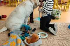 IMG-20240313-WA0070