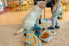 IMG-20240313-WA0071