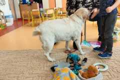 IMG-20240313-WA0073