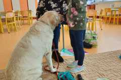 IMG-20240313-WA0074
