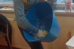 IMG-20231020-WA0024