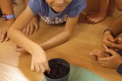 370291484_1033576231014542_6301286068199860719_n