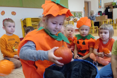 IMG_20231031_085923