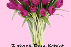 WhatsApp-Image-2023-03-08-at-20.49.17