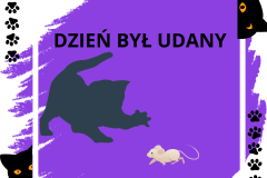 Dzień Kot i zajęcia w klasie drugiej - 10