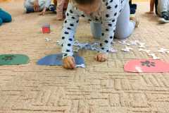 IMG-20231025-WA0043