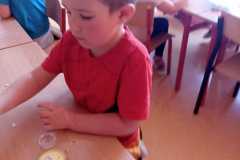 IMG-20220520-WA0024