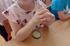 IMG-20220520-WA0034