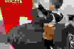 c85de7c5-5a9b-4bd0-84d2-e268fe1d3c45