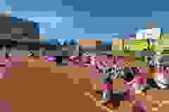447406502_969939868472187_4882292367648064996_n