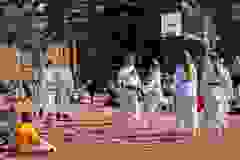 447433031_969940385138802_416640881912815418_n