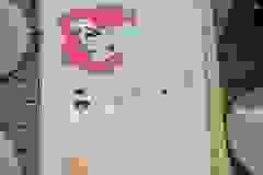 447440280_969939828472191_4532676839055484942_n