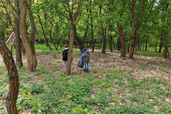 IMG_20240422_100247