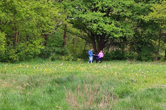 IMG_20240422_100338