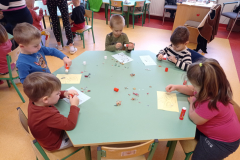 IMG_20230111_084639