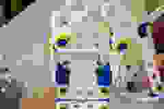 425023329_895880405878134_3826326229372517525_n