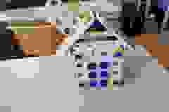 428486103_895880452544796_4618216594481693815_n