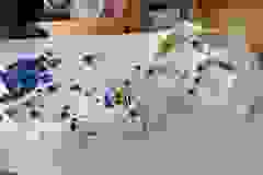 428502362_895880609211447_8934544786194731398_n