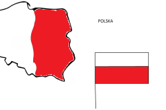 tomek-2a