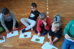 IMG20241025104504