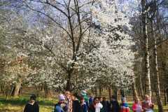 WhatsApp-Image-2025-04-28-at-19.46.34-2
