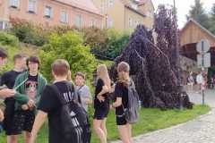 WhatsApp-Image-2024-06-05-at-18.53.30-1