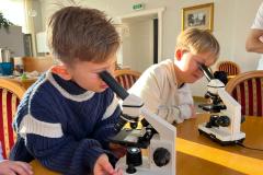 IMG-20251203-WA0117