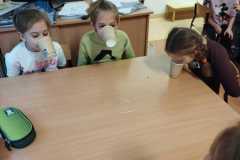 WhatsApp-Image-2024-12-08-at-11.15.54
