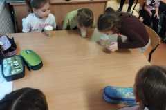 WhatsApp-Image-2024-12-08-at-11.26.12-1