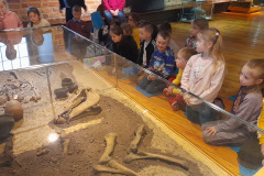 20240201_113257