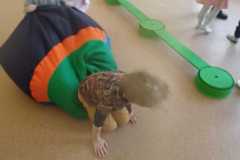 IMG-20230105-WA0026