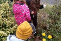 IMG-20231031-WA0008