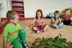 IMG20230925084604