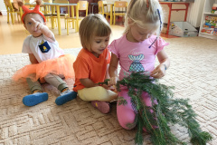 IMG20230925085452