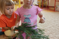 IMG20230925085455